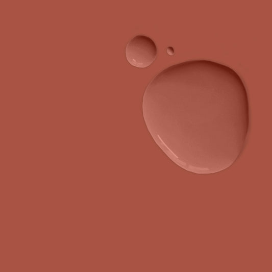 Annie Sloan Paprika Red LORES RGB