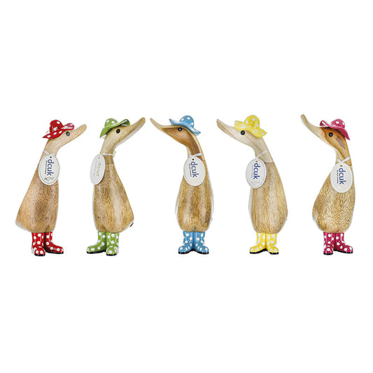 spotty-hat-and-boots-duckling