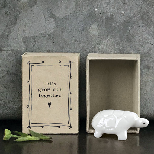 east-of-india-match-box-tortoise