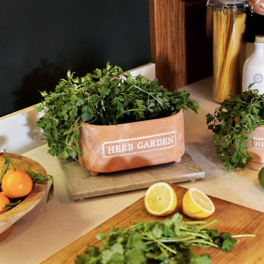 herb-garden-terracotta-trough-planter