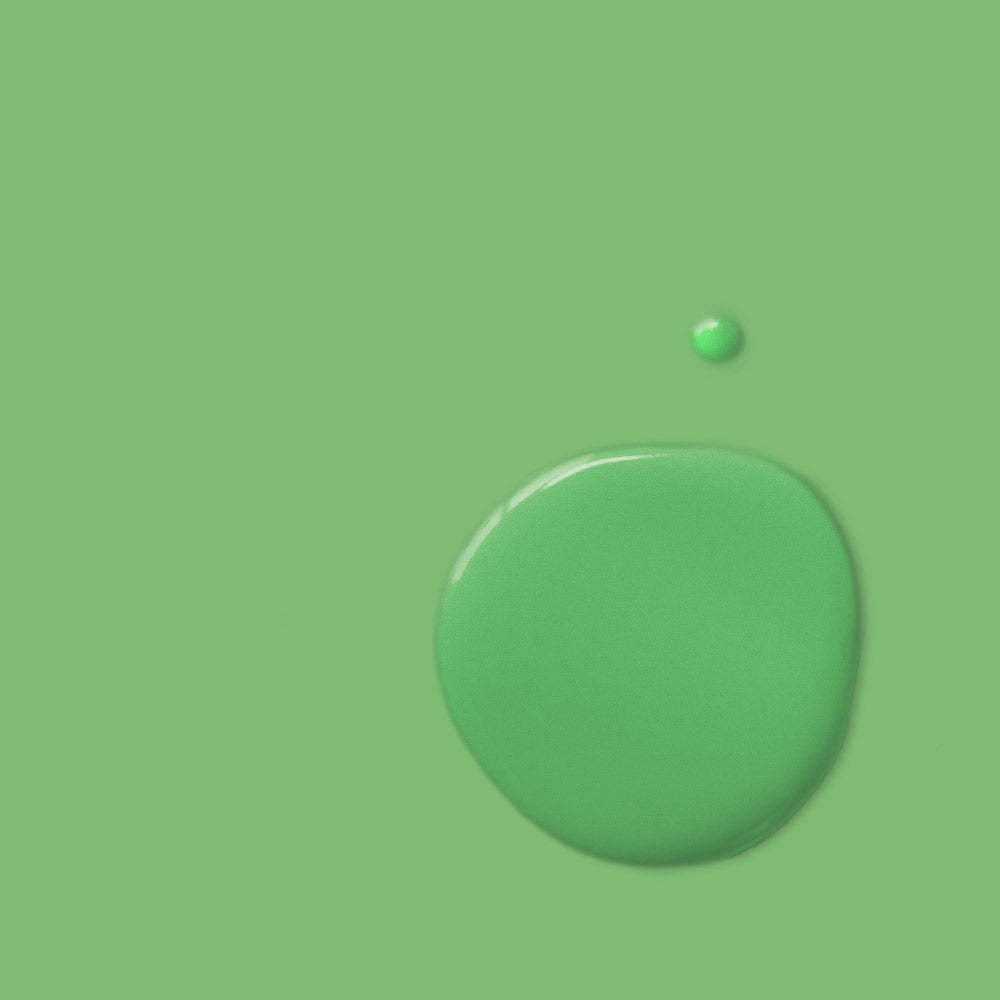 Annie Sloan Antibes-Green-1-litre-Chalk-Paint-tin