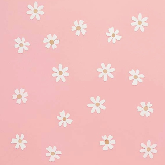 daisy-table-scatter