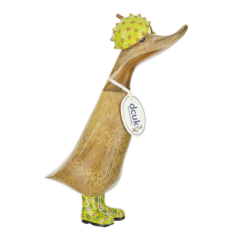 woodland-folk-conker-duckling