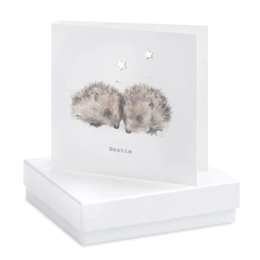 hedgehogs-bestie-boxed-card-with-earrings