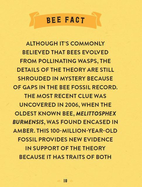 the-little-book-of-bees