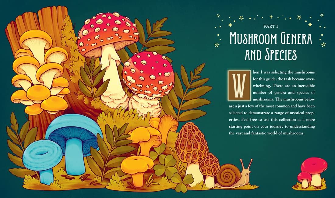 mushroom-magick