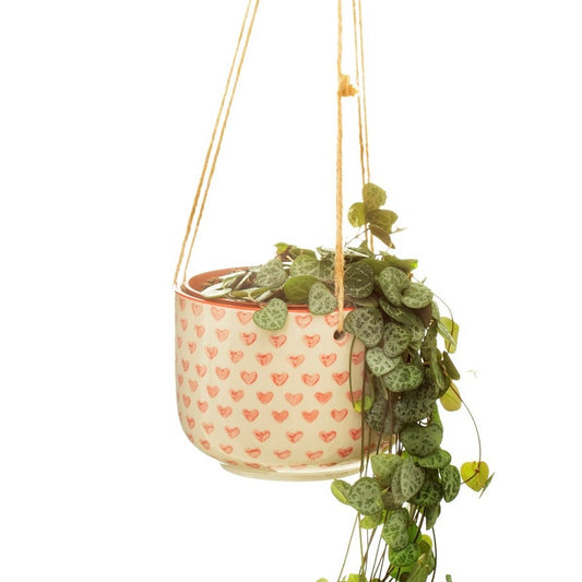 red-love-heart-hanging-planter