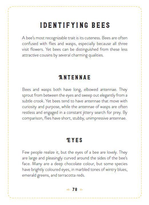 the-little-book-of-bees